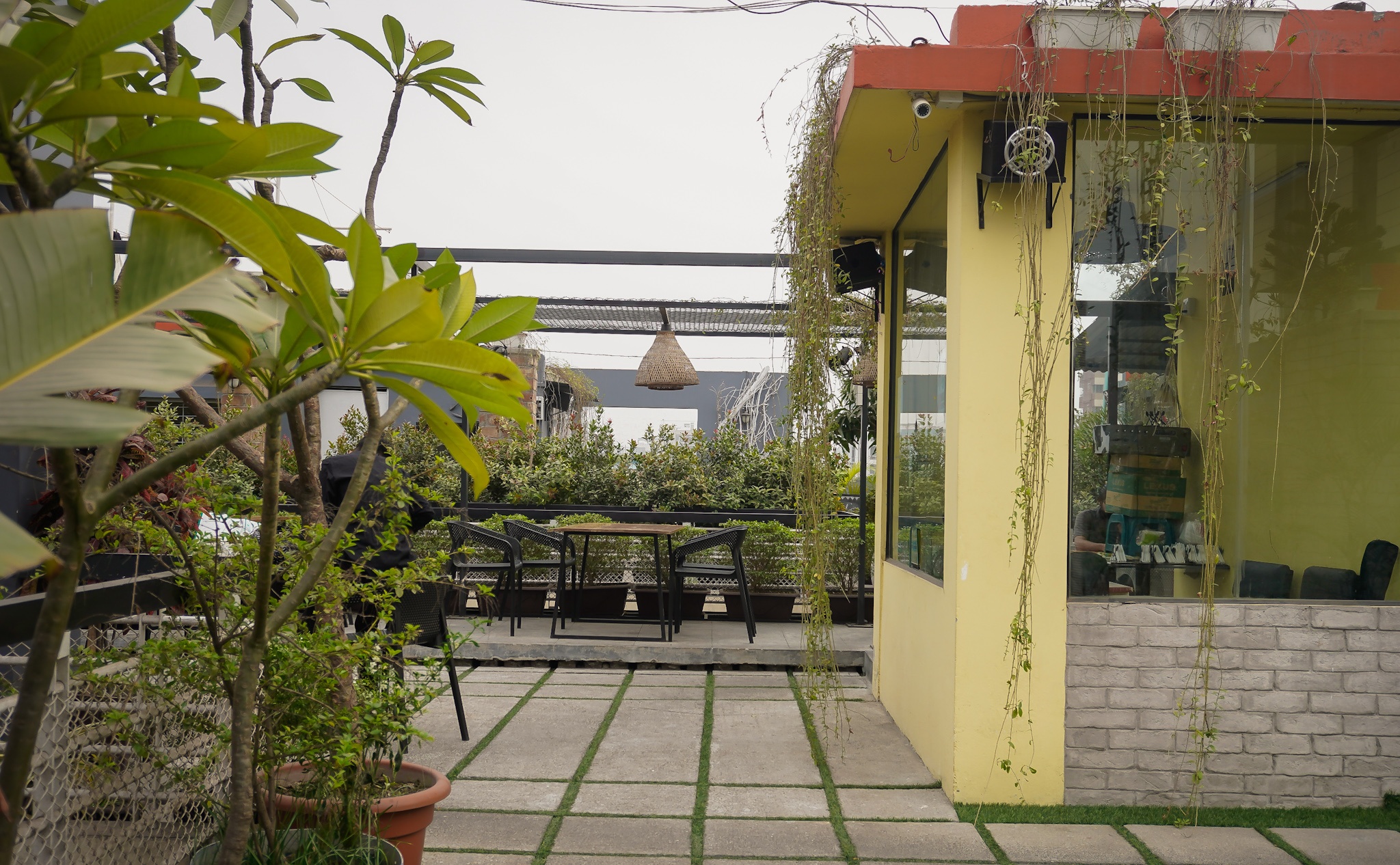 _DSC7461_1-01