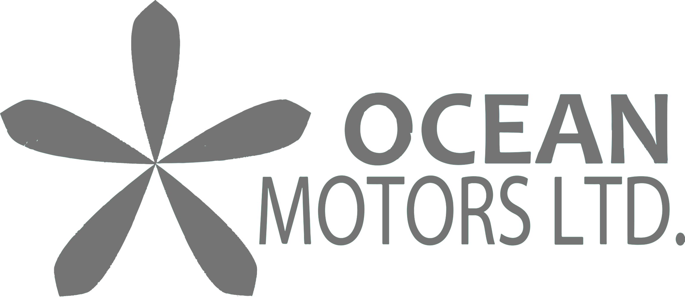 OCEAN MOTORS